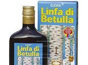 Linfa Betulla: bevanda salutare naturale dalle molteplici proprietà rigenerati depurative