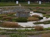BERNE PARK, PIET OUDOLF GROSS MAX, BOTTROP, GERMANY 2010