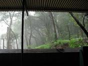 inquinamento, meno monsoni