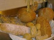 ...torta Halloween...e panificazione!...