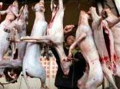 Cina. Abolito festival vecchio anni dove venivano macellati, cucinati mangiati migliaia cani