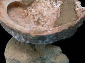 Ocra trovata conchiglia Paleolitico.