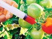 Rapporto Globale: agricoltura fallito tutti fronti