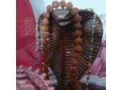 Kundalini misteriosa, ovvero potere serpente