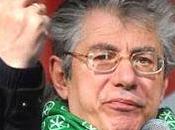 Lega conigli