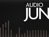 audiojungle Royalty Free Audio Files more