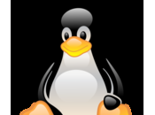 Linux Kernel: supporto lungo termine