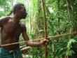 Corsa alla terra Papua Nuova Guinea. rischio foreste popoli indigeni