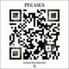 Pegasus Rise Up(Black Dog) Video Testo Traduzione