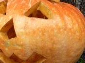 dolce della tradizione tipico delle feste questi giorni…
