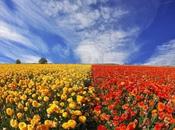 Stupende lezioni vita mensili…