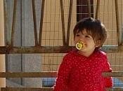 Tutti insieme affezionatamente...