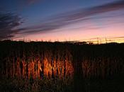 Sunset with headlamps