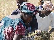 “African Women” vince Premio Speciale Ambiente