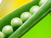 PeaZip strumento gratuito gestione degli archivi permette creare visualizzare numerosi formati compressi.