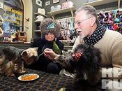 Restaurant pour chiens