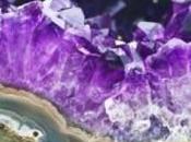 Museo dell’Opificio delle Pietre Dure Firenze