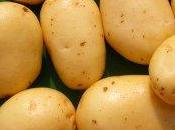 Ogm: patata Fortuna all'esame dell'Unione europea