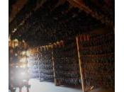 Vernaccia Serrapetrona Quacquarini appassimenti aperti