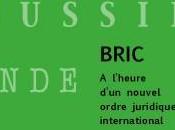 Paulo Borba Casella, BRIC: Brésil, Russie, Inde, Chine Afrique