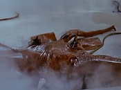 Quiz: dove viene questo sgomberonte?