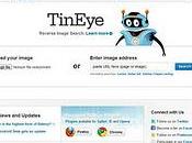 ricerca immagini: Tineye Google