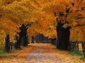 Autunno…