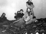 ALLUVIONE POLESINE NOVEMBRE 1951 Ricordando passate tragiche alluvioni