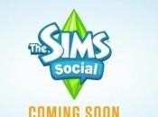 Social Sims Facebook