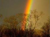 MENTE Costantino Posa