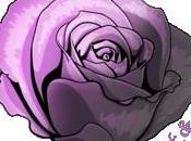 Black&Rose;! shop bellezza comodamente online!