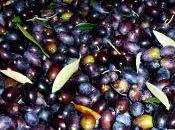 Detto fatto, meglio ancora: colte mangiate