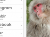 SuperAlbum, visualizza carica foto social network