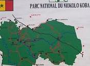 Parco Nazionale Niokolo-Koba