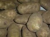 Rotazione delle colture