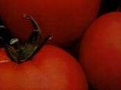 Pomodori biologici
