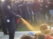 Shame you, Obama: polizia americana spray urticanti contro studenti Occupy Wall Street