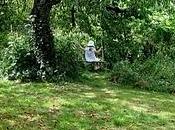 Come costruire un'altalena proprio giardino