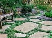 Crea progetta giardino