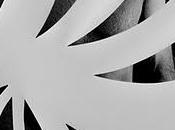 DG_VICTIMS Andrea Maia