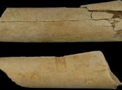 Retrodatato 800.000 anni utilizzo primi strumenti pietra