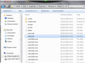 Windows Winamp 5.572: libreria multimediale vuota