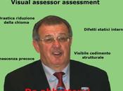 Visual assessor assessment