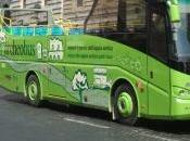turistici Open-bus