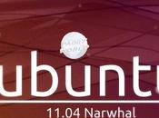 Ubuntu disfatta