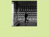 Viola AMARELLI nudecrude cose altre faccende. nota lettura Antonio Fiori.