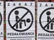 Polonia: "Via libera logo partito omofobo".
