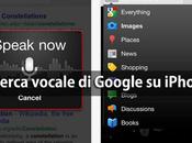 Ricerca Google vocale iPhone iPad