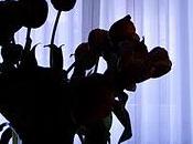 pagina libro/29 carteggio Aspern