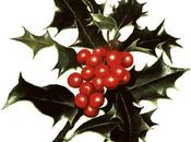 fiaba Trentino spiegare leggenda vischio.